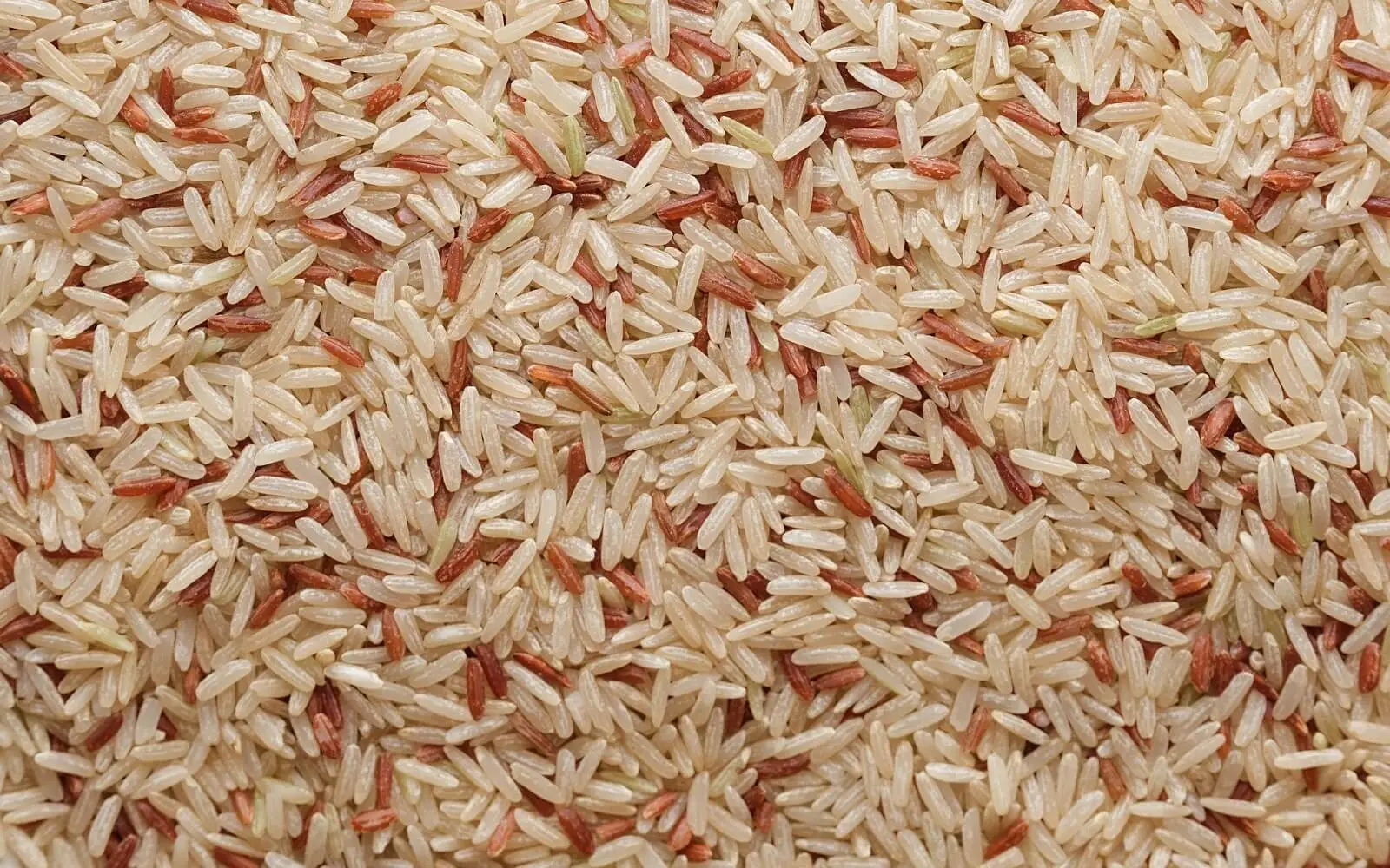 Articoli da leggere
